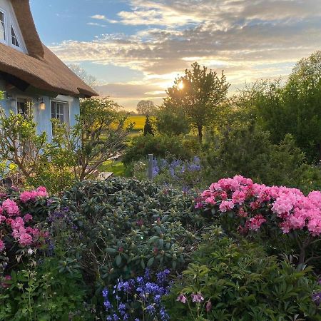 Reethaus Vilmnitz - Ferienwohnung Goor Exteriér fotografie