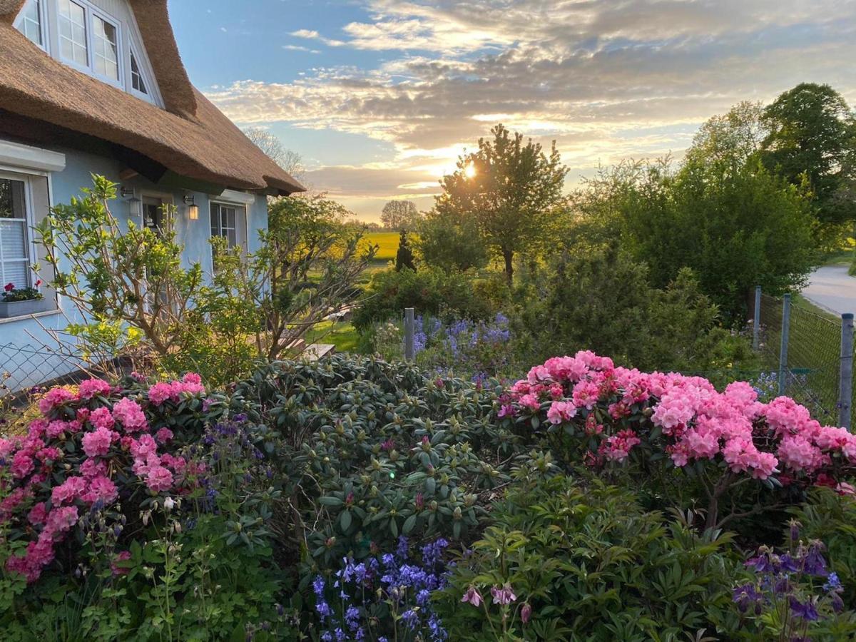 Reethaus Vilmnitz - Ferienwohnung Goor Exteriér fotografie