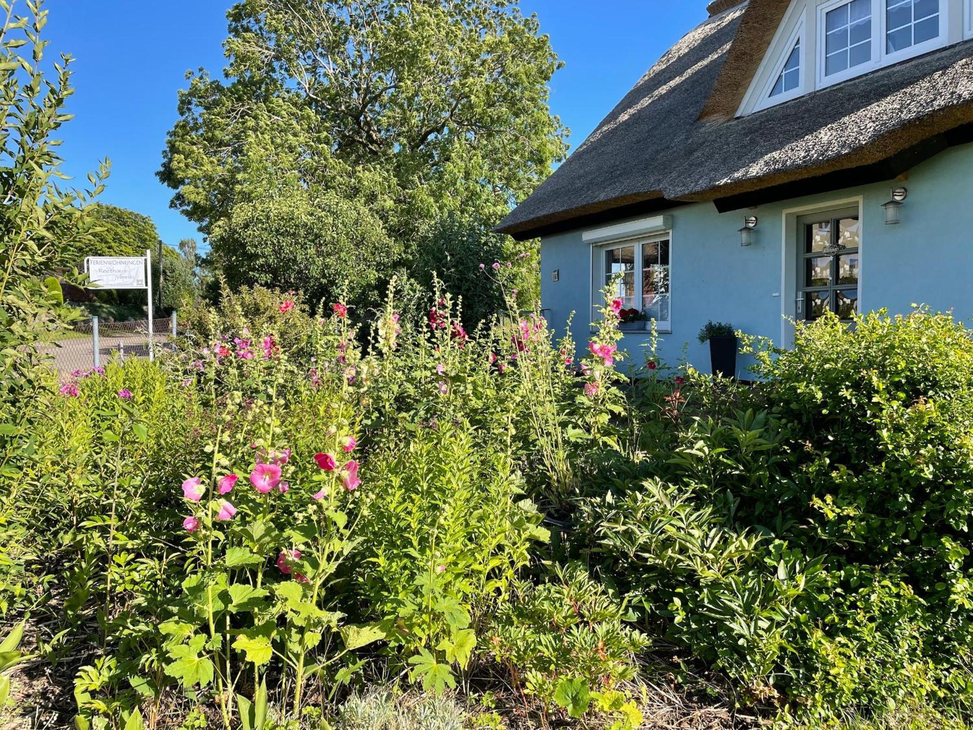 Reethaus Vilmnitz - Ferienwohnung Goor Exteriér fotografie