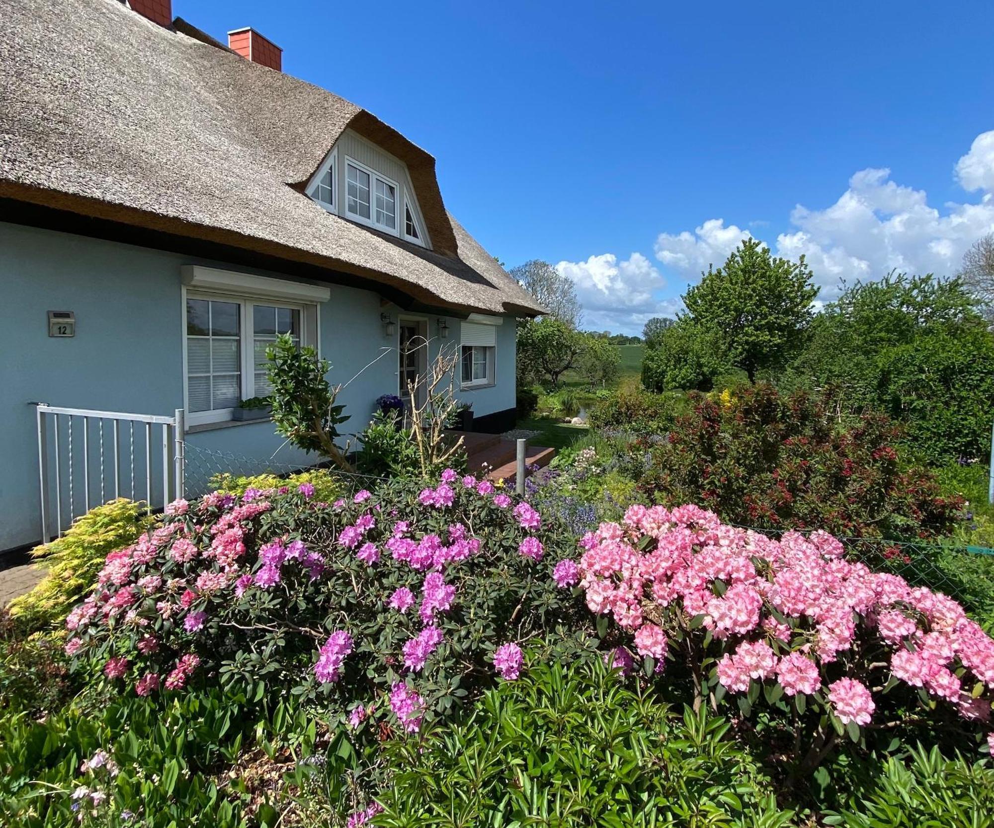 Reethaus Vilmnitz - Ferienwohnung Goor Exteriér fotografie